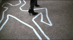 White Owls Investigation Part 2 New 5/28/14